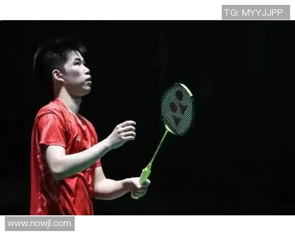 杭州羽毛球队精英赛背后的拼搏故事与荣耀时刻