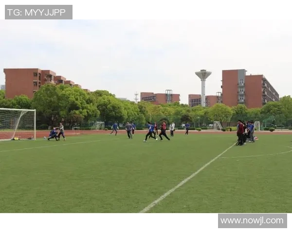 成都飞盘队个人能力分析与提升策略探讨之路