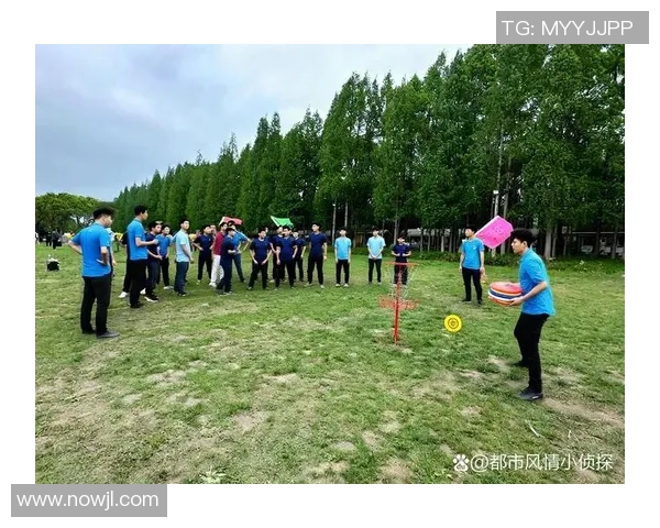 飞盘战术解析：杭州飞盘队如何构建高效进攻体系与战术配合